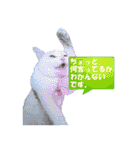 HEBOCHANS 公式スタンプ【よく使う言葉編】（個別スタンプ：39）