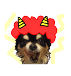 犬の武蔵くん ～second～（個別スタンプ：2）