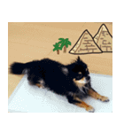 犬の武蔵くん ～second～（個別スタンプ：5）
