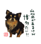 犬の武蔵くん ～second～（個別スタンプ：7）