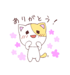 ねこズ（個別スタンプ：6）