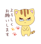 ねこズ（個別スタンプ：16）