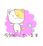 ねこズ（個別スタンプ：25）