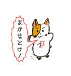 ぷくぷくあにまるず（個別スタンプ：1）