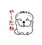かわいい犬ココちゃん（個別スタンプ：17）