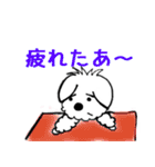 かわいい犬ココちゃん（個別スタンプ：35）
