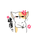 Cat Oh（個別スタンプ：12）