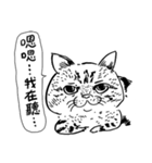 eh！cat！ Black and white illustrations 2（個別スタンプ：5）