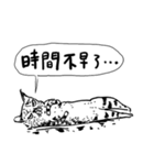 eh！cat！ Black and white illustrations 2（個別スタンプ：6）