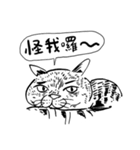 eh！cat！ Black and white illustrations 2（個別スタンプ：19）