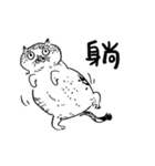 eh！cat！ Black and white illustrations 2（個別スタンプ：31）