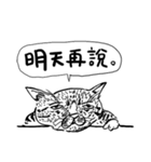 eh！cat！ Black and white illustrations 2（個別スタンプ：40）
