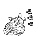 eh！cat！ Black and white illustrations 3（個別スタンプ：16）