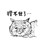eh！cat！ Black and white illustrations 3（個別スタンプ：18）