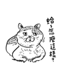 eh！cat！ Black and white illustrations 3（個別スタンプ：19）