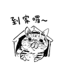 eh！cat！ Black and white illustrations 3（個別スタンプ：21）