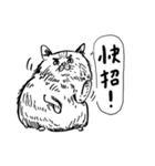 eh！cat！ Black and white illustrations 3（個別スタンプ：22）