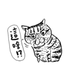 eh！cat！ Black and white illustrations 3（個別スタンプ：27）