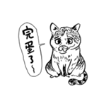 eh！cat！ Black and white illustrations 3（個別スタンプ：29）