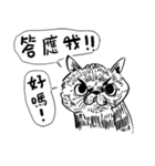 eh！cat！ Black and white illustrations 3（個別スタンプ：36）