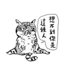eh！cat！ Black and white illustrations 3（個別スタンプ：38）