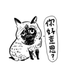 eh！cat！ Black and white illustrations 3（個別スタンプ：39）