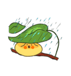 Bird omelet.（個別スタンプ：5）