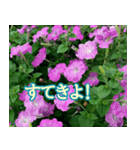 前向きな花たち（個別スタンプ：1）