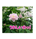 前向きな花たち（個別スタンプ：2）