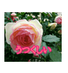 前向きな花たち（個別スタンプ：3）