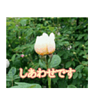 前向きな花たち（個別スタンプ：4）
