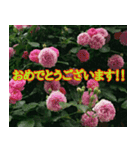 前向きな花たち（個別スタンプ：5）