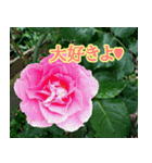 前向きな花たち（個別スタンプ：8）