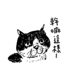 eh！cat！ Black and white illustrations 4（個別スタンプ：2）