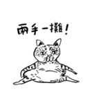 eh！cat！ Black and white illustrations 4（個別スタンプ：3）