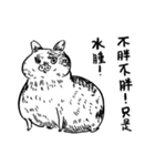 eh！cat！ Black and white illustrations 4（個別スタンプ：4）