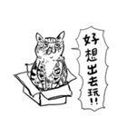 eh！cat！ Black and white illustrations 4（個別スタンプ：11）