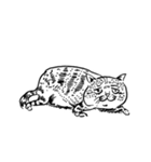 eh！cat！ Black and white illustrations 4（個別スタンプ：14）