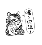 eh！cat！ Black and white illustrations 4（個別スタンプ：17）