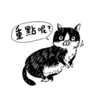 eh！cat！ Black and white illustrations 4（個別スタンプ：23）