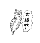 eh！cat！ Black and white illustrations 4（個別スタンプ：25）