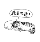 eh！cat！ Black and white illustrations 4（個別スタンプ：27）