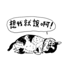 eh！cat！ Black and white illustrations 4（個別スタンプ：30）