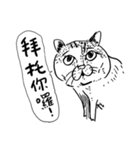 eh！cat！ Black and white illustrations 4（個別スタンプ：37）