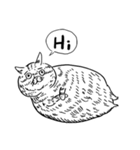 eh！cat！ Black and white illustrations 4（個別スタンプ：40）