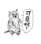 eh！cat！ Black and white illustrations 5（個別スタンプ：10）