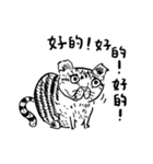 eh！cat！ Black and white illustrations 5（個別スタンプ：13）