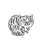 eh！cat！ Black and white illustrations 5（個別スタンプ：15）