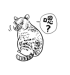 eh！cat！ Black and white illustrations 5（個別スタンプ：18）