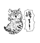 eh！cat！ Black and white illustrations 5（個別スタンプ：20）